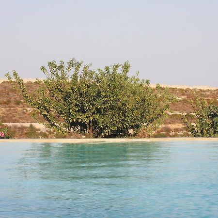 Agriturismo Leone Villa Testa dellʼAcqua Eksteriør bilde